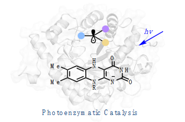 1683273456590740.png 66.png