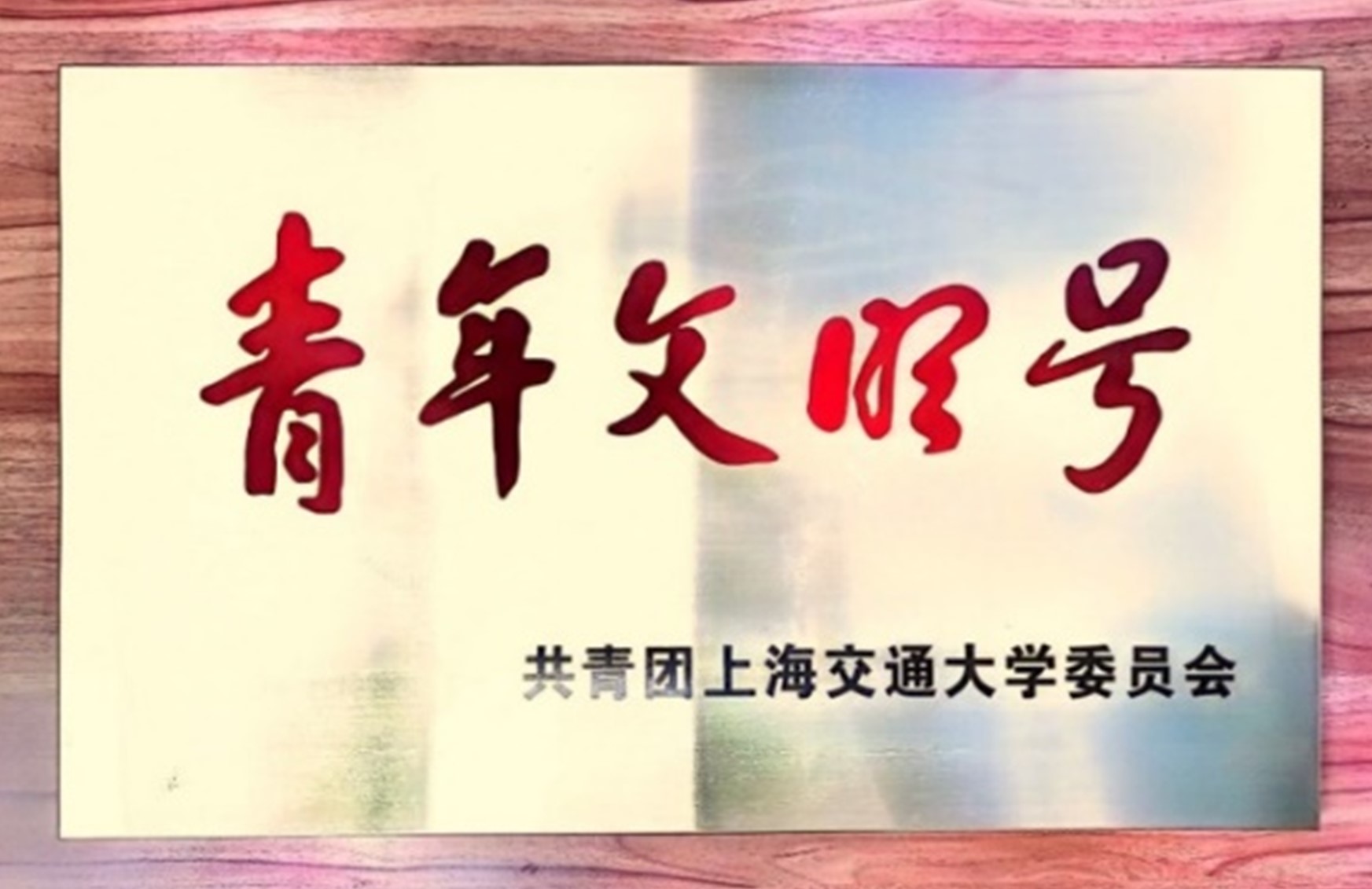 1734066952734659.jpg 图片14.jpg