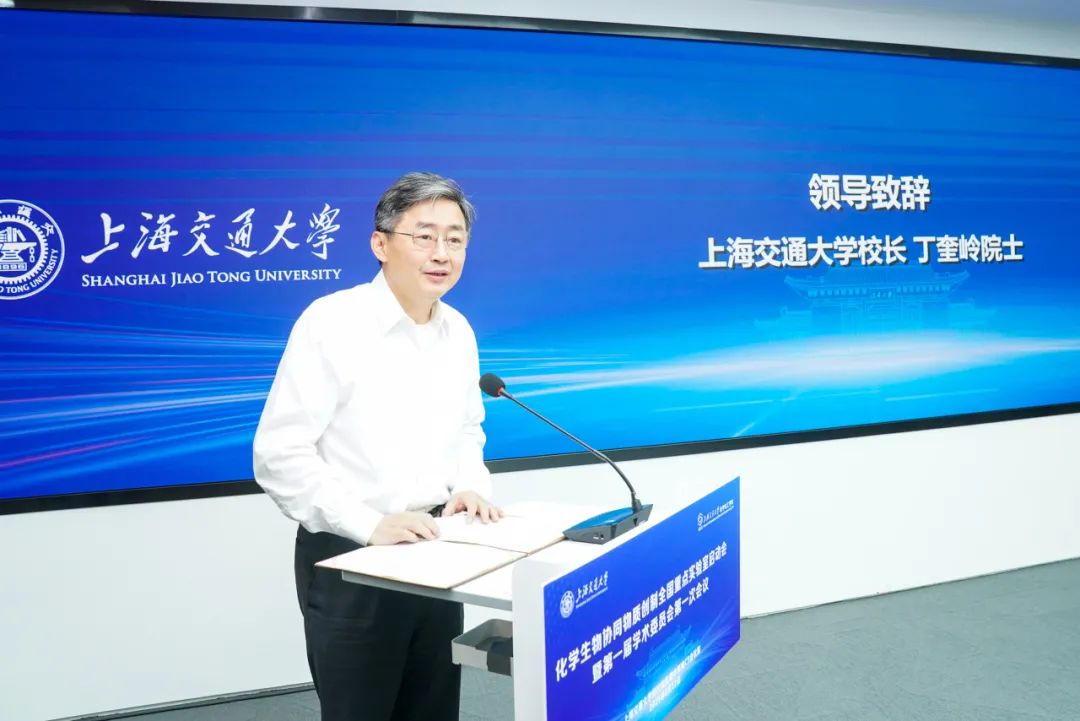 1749790414313837.jpg 03.jpg